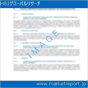 市場と産業調査レポートのイメージ